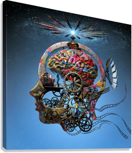 4234 Canvas Print