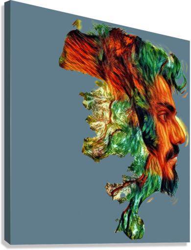 4236 Canvas Print