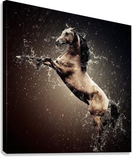 4239 Canvas Print