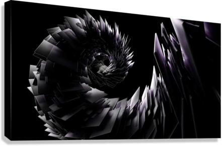 4240 Canvas Print
