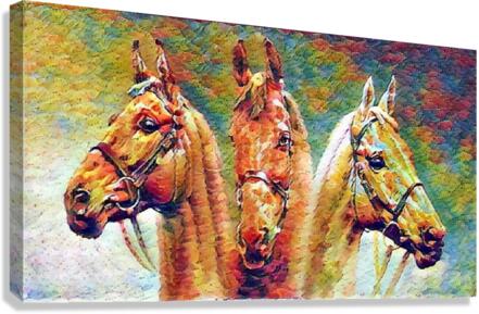 4241 Canvas Print