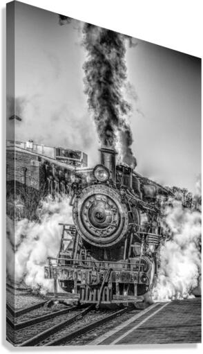 4242 Canvas Print