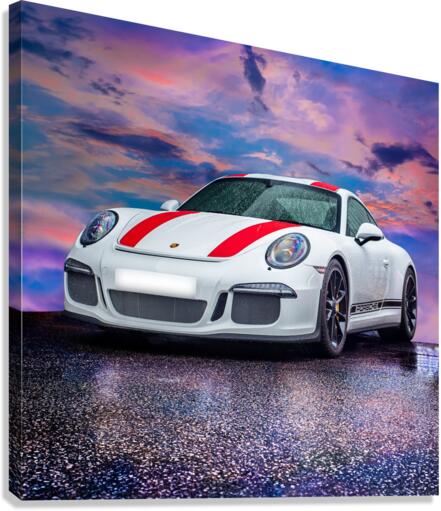 4243 Canvas Print