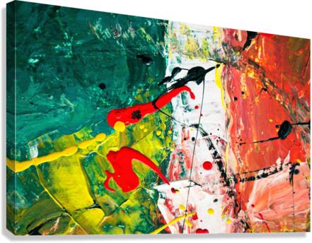 4247 Canvas Print