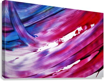 4249 Canvas Print