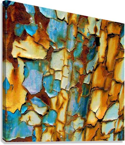 4257 Canvas Print