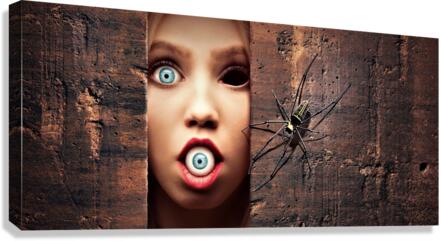 4265 Canvas Print