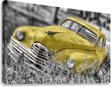 4266 Canvas Print