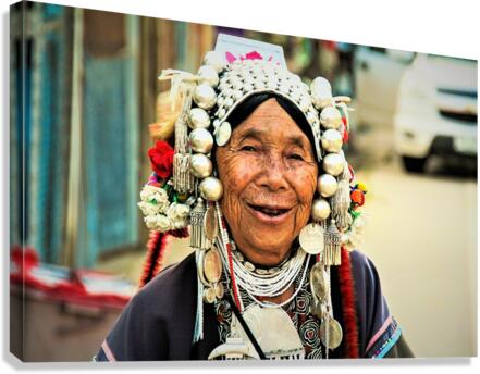 4270 Canvas Print