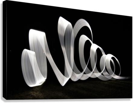 4273 Canvas Print