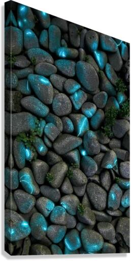 4274 Canvas Print
