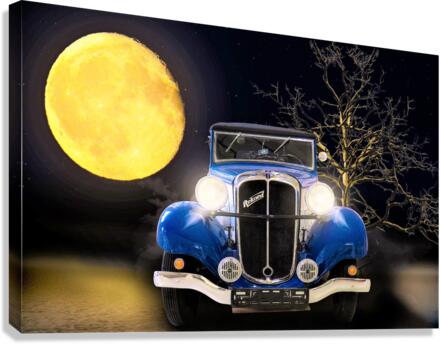 4275 Canvas Print