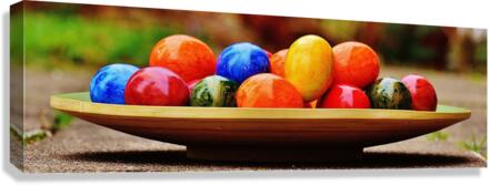 4276 Canvas Print