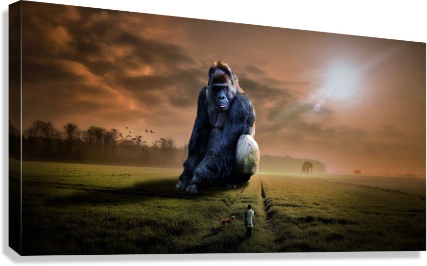 4277 Canvas Print