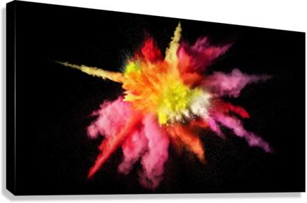 4278 Canvas Print