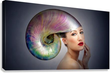 4280 Canvas Print