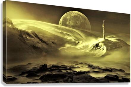 4281 Canvas Print