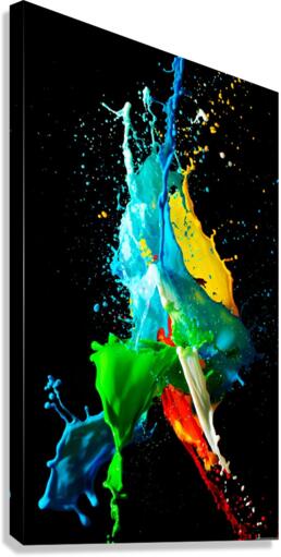 4284 Canvas Print