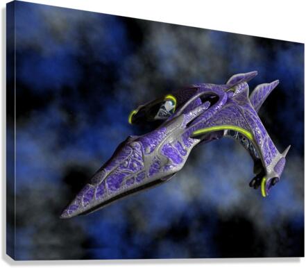4291 Canvas Print