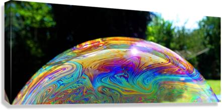 4293 Canvas Print