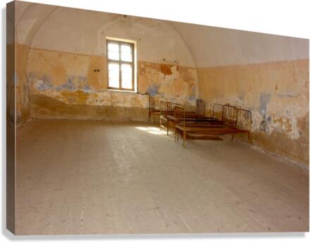 4295 Canvas Print