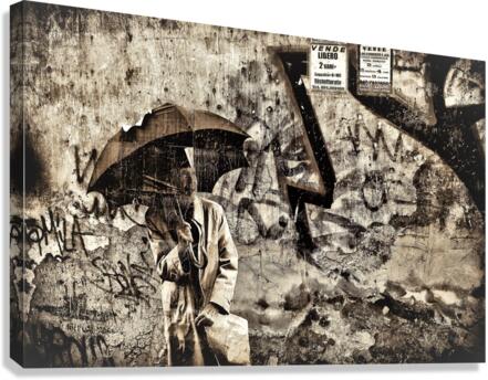 4314 Canvas Print