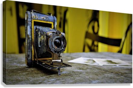 4315 Canvas Print