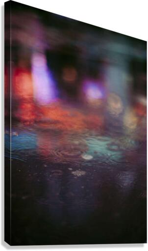 4320 Canvas Print