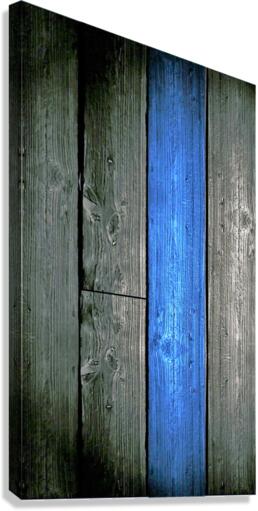 4331 Canvas Print