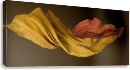 4335 Canvas Print