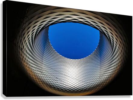 4338 Canvas Print