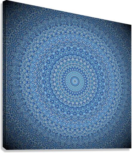 4339 Canvas Print