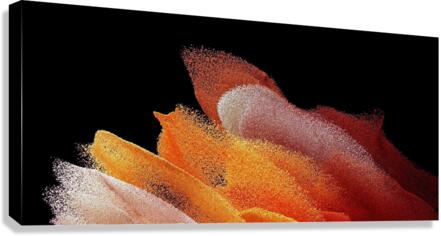 4343 Canvas Print