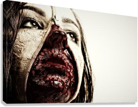 4346 Canvas Print