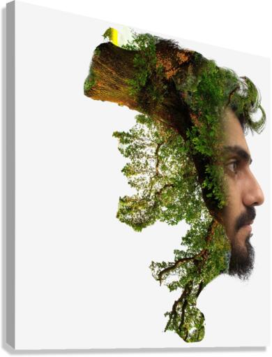4347 Canvas Print