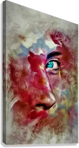 4350 Canvas Print