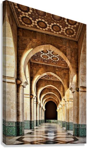 4351 Canvas Print