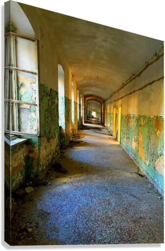 4356 Canvas Print