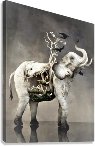 4358 Canvas Print