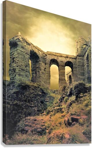 4359 Canvas Print