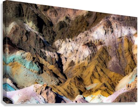 4371 Canvas Print