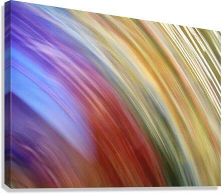 4363 Canvas Print