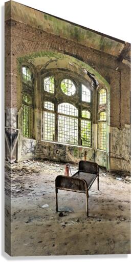 4368 Canvas Print
