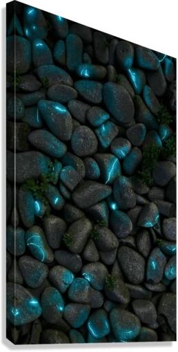 4370 Canvas Print