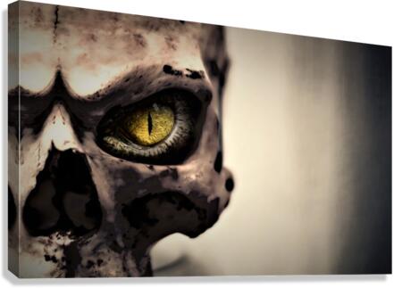 4362 Canvas Print