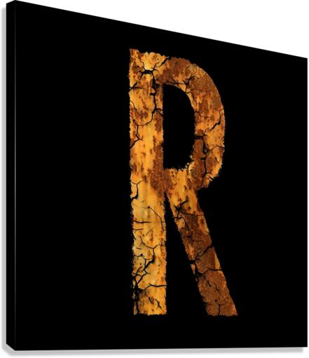 4361 Canvas Print