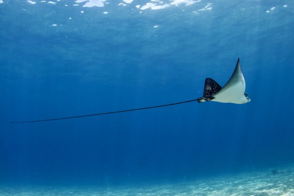 Defying gravity  by Tatiana Gonnason