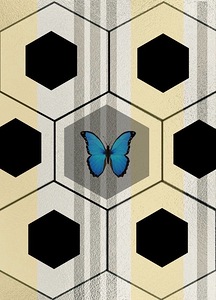 Butterfly In A Bees Trap 