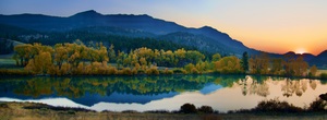 Golden Morning