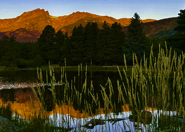 Morning Reflection Print